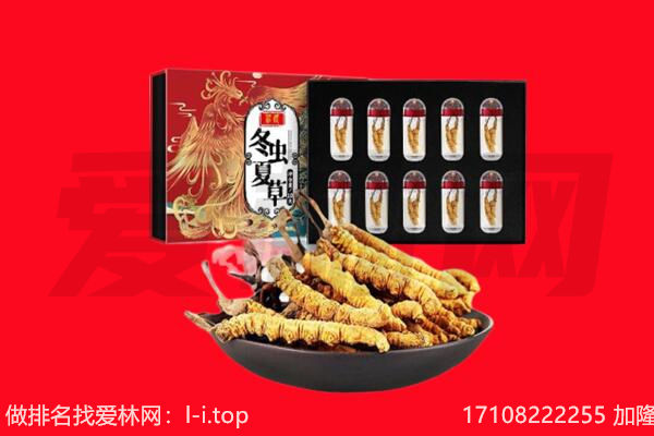 湘乡市回收虫草.jpg